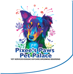 Pixee's Paws Pet Palace – Arlinton Texas