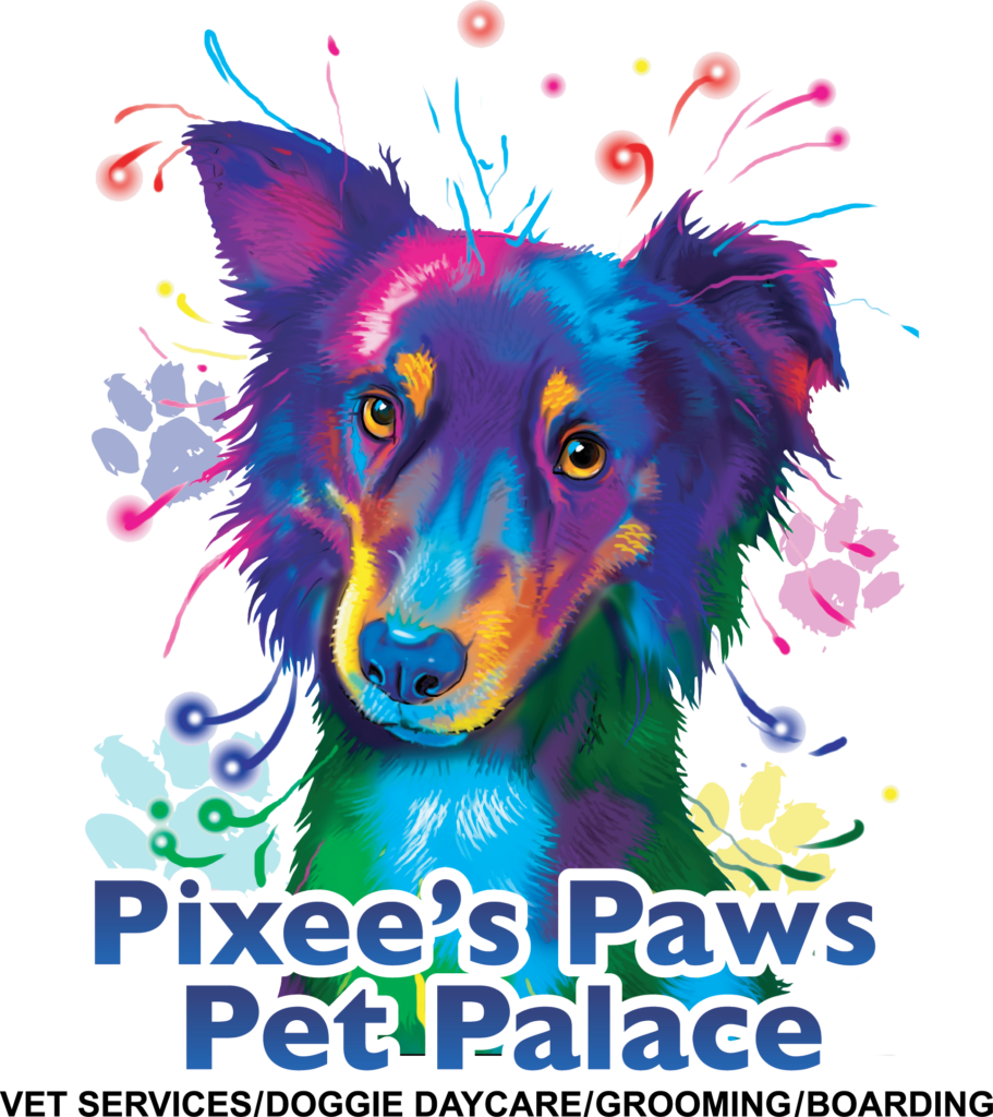 Dog Boarding Arlington TX Dog Daycare Pixee’s Paws Pet Palace Dog Boarding