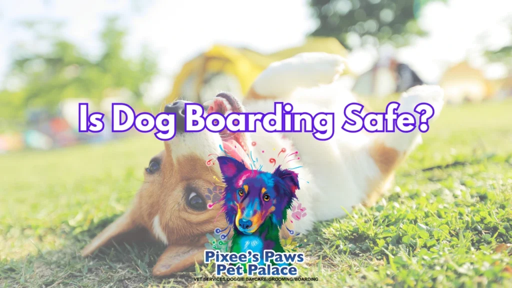 Is Dog Boarding Safe